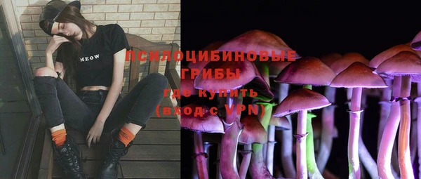 мдма Каменногорск