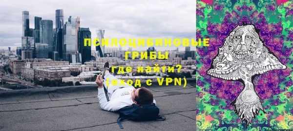 первитин Каменка