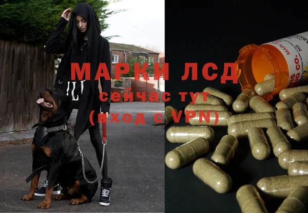 мдма Каменногорск